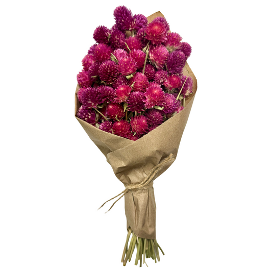 11" Dried Pink and Purple Globe Amaranth Mini Bouquet - Dried Flower Bouquet