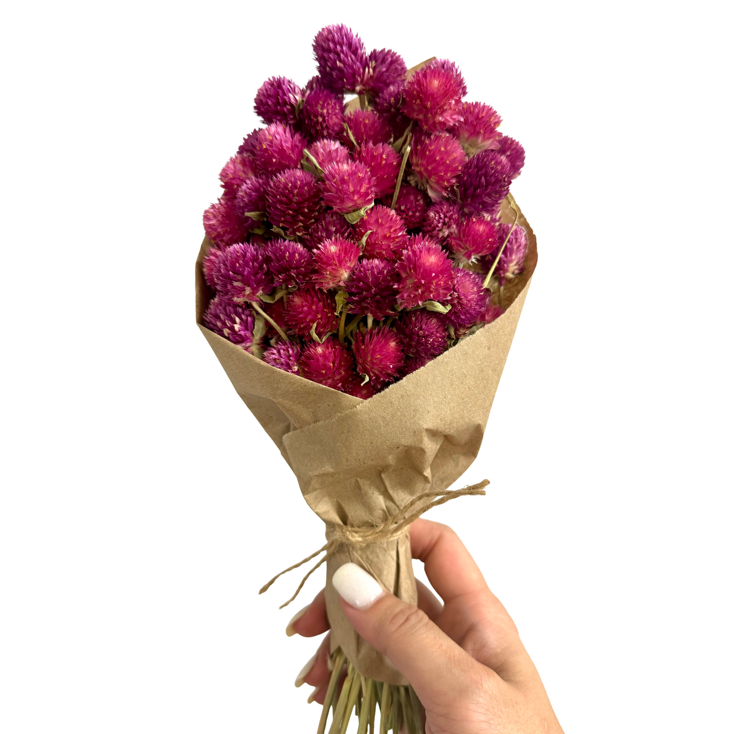 11" Dried Pink and Purple Globe Amaranth Mini Bouquet - Dried Flower Bouquet