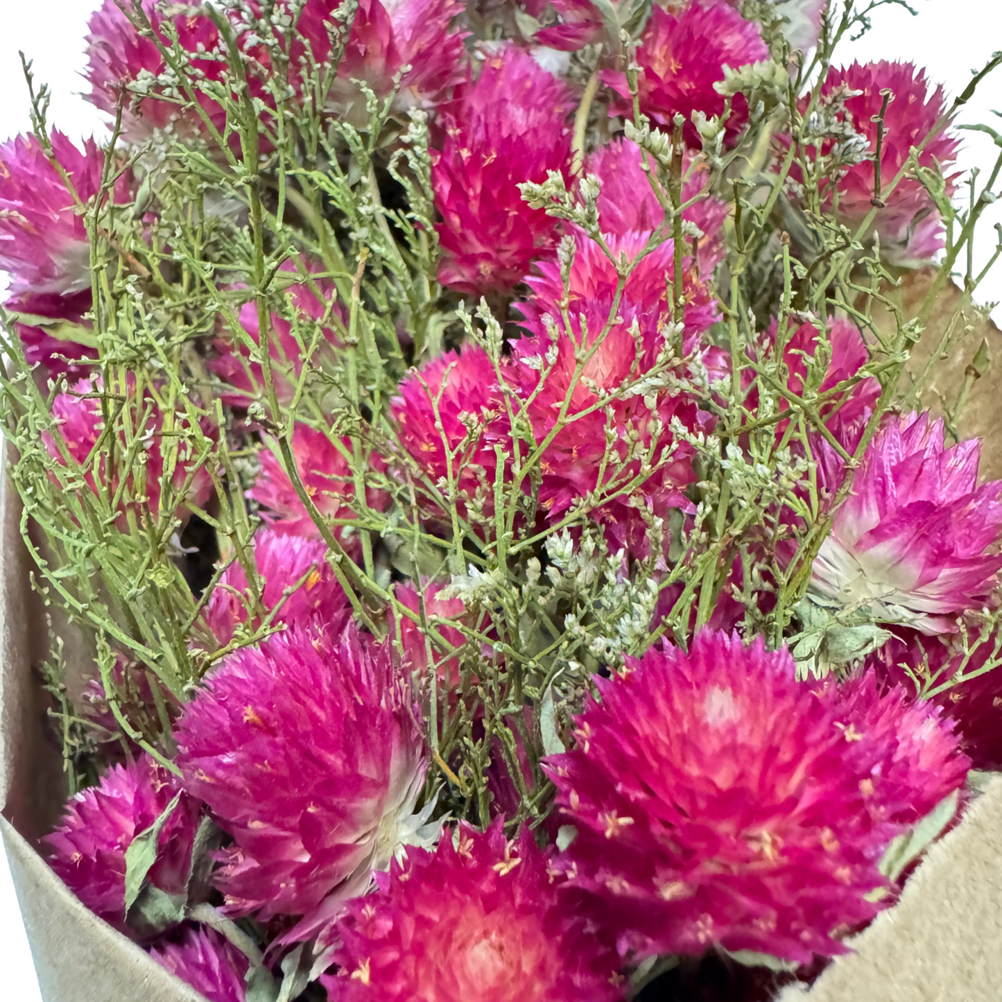 11" Dried Pink Globe Amaranth Mini Bouquet