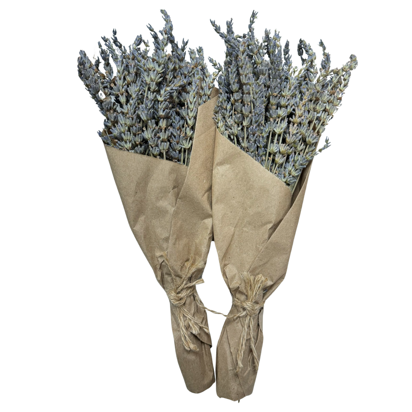 12" Dried Lavender Bouquet, Set of 2