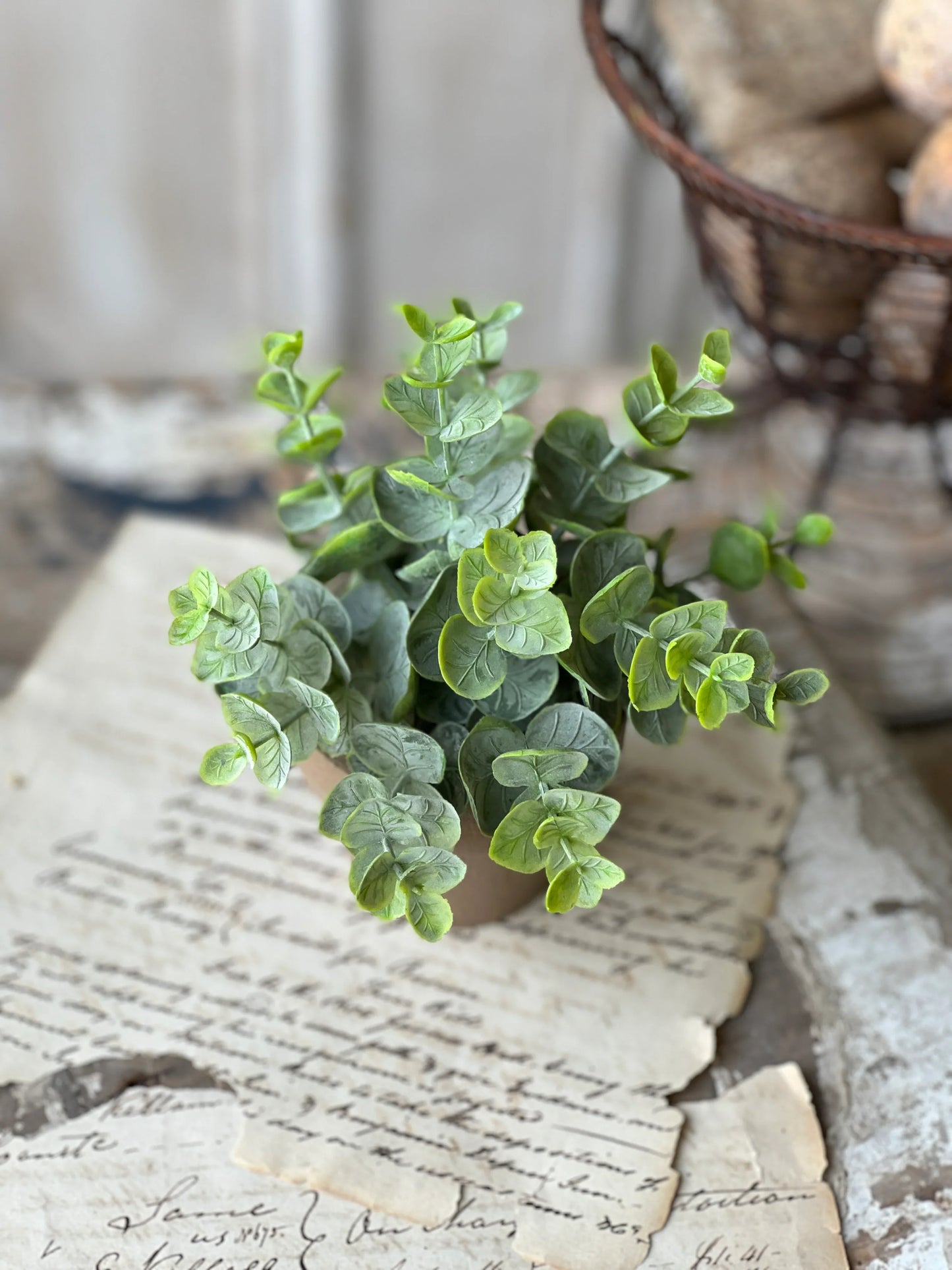 Greenery Pot