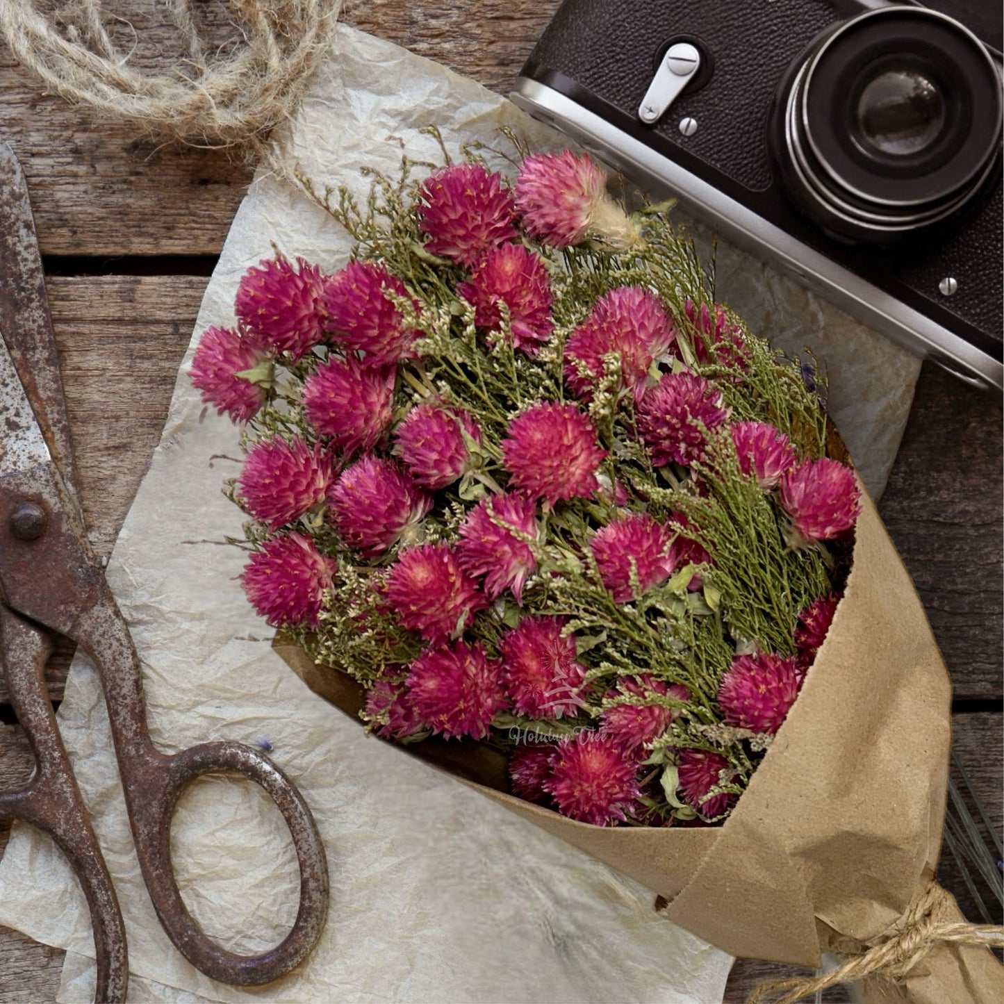 11" Dried Pink Globe Amaranth Mini Bouquet